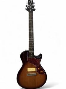 Prs Se Eg | eBay