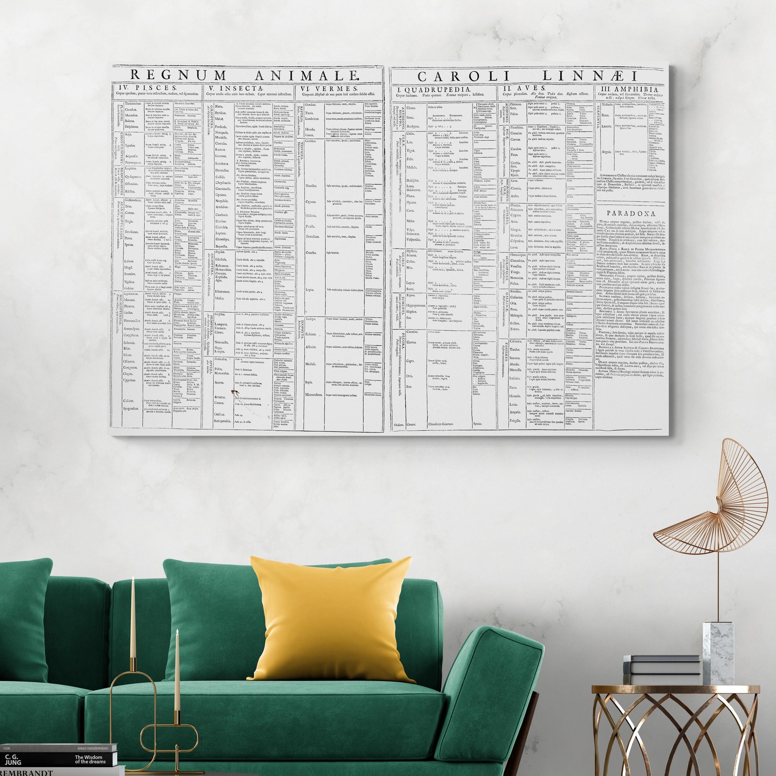 1735 Carl Linnaeus Animal Kingdom Taxonomy Chart – Historic Zoology Diagram