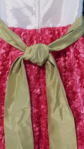 RARE EDITIONS RN 18854 – Girl’s Fuchsia Rose Sleeveless Dress – Size: 4 - Picture 4 of 7