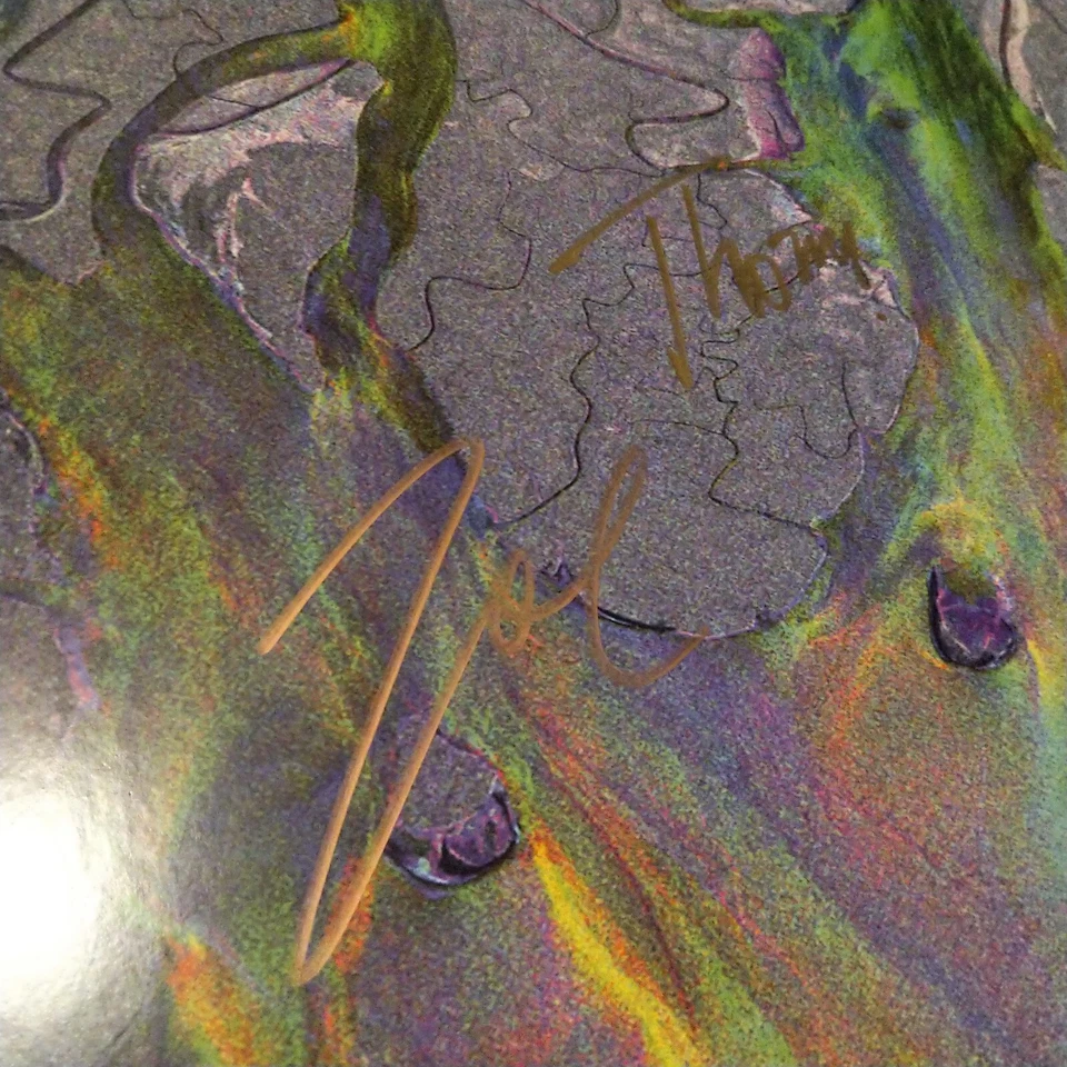 SIGNED Alt-J - An Awesome Wave  vinyl autographed - Image 3 of 4