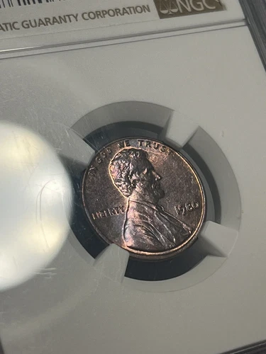 1980 Lincoln Cent Penny  NGC MS 64 RB Beautiful Toned  Purplish L@@k