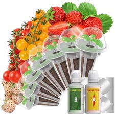 Strawberry Seed Pods for AeroGarden, Ahopegarden, iDOO Hydroponics Growing Syste