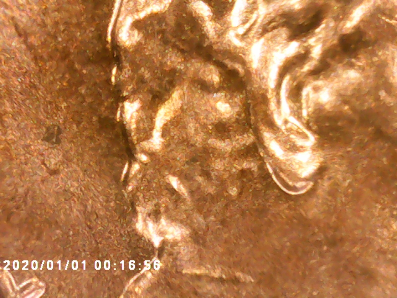 Picture 2 of 18