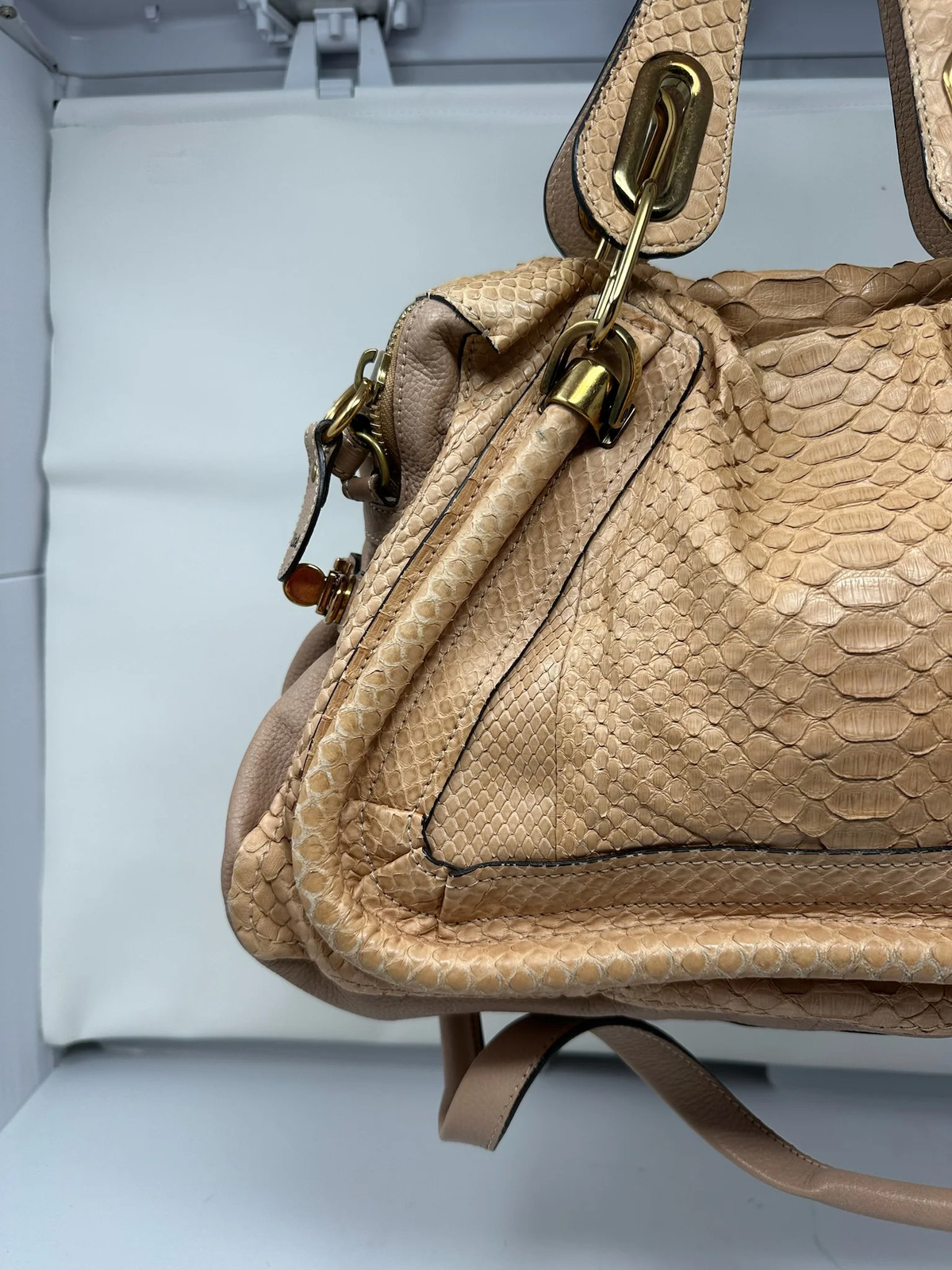 Chloe Paraty Beige Python with Shoulder Strap - image 2