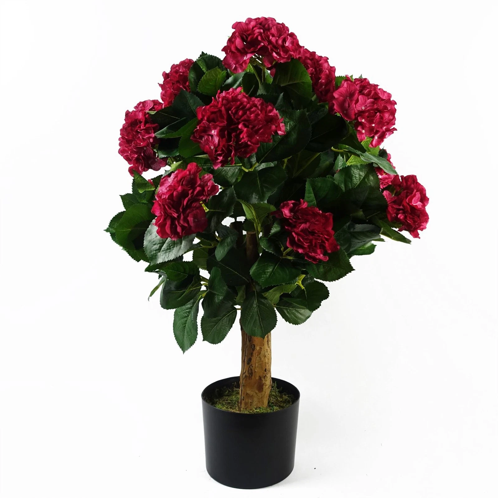 75cm Pink Bush Hydrangea  - 40788