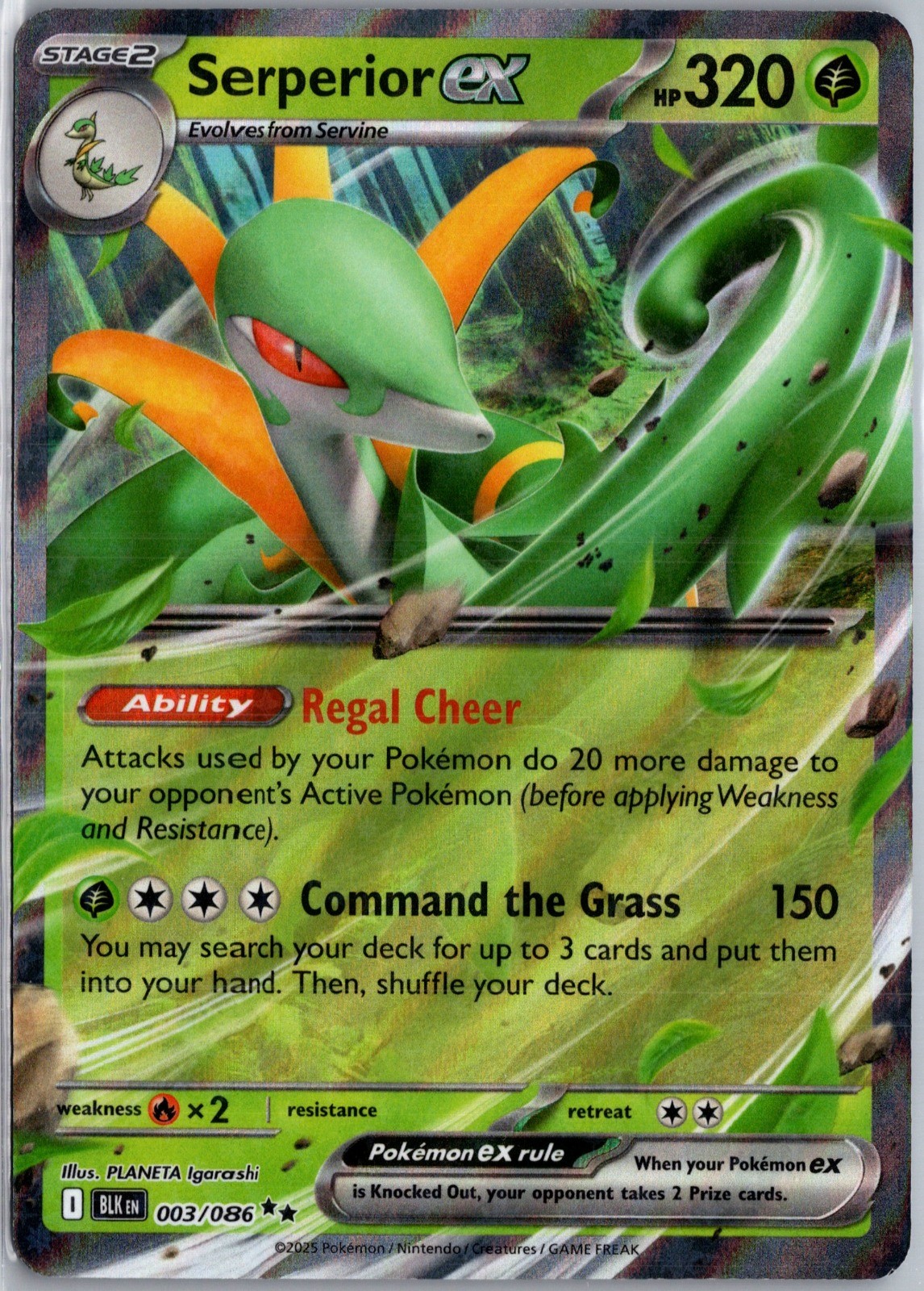 Serperior ex Holo Double Rare SV: Black Bolt 003/086 NM