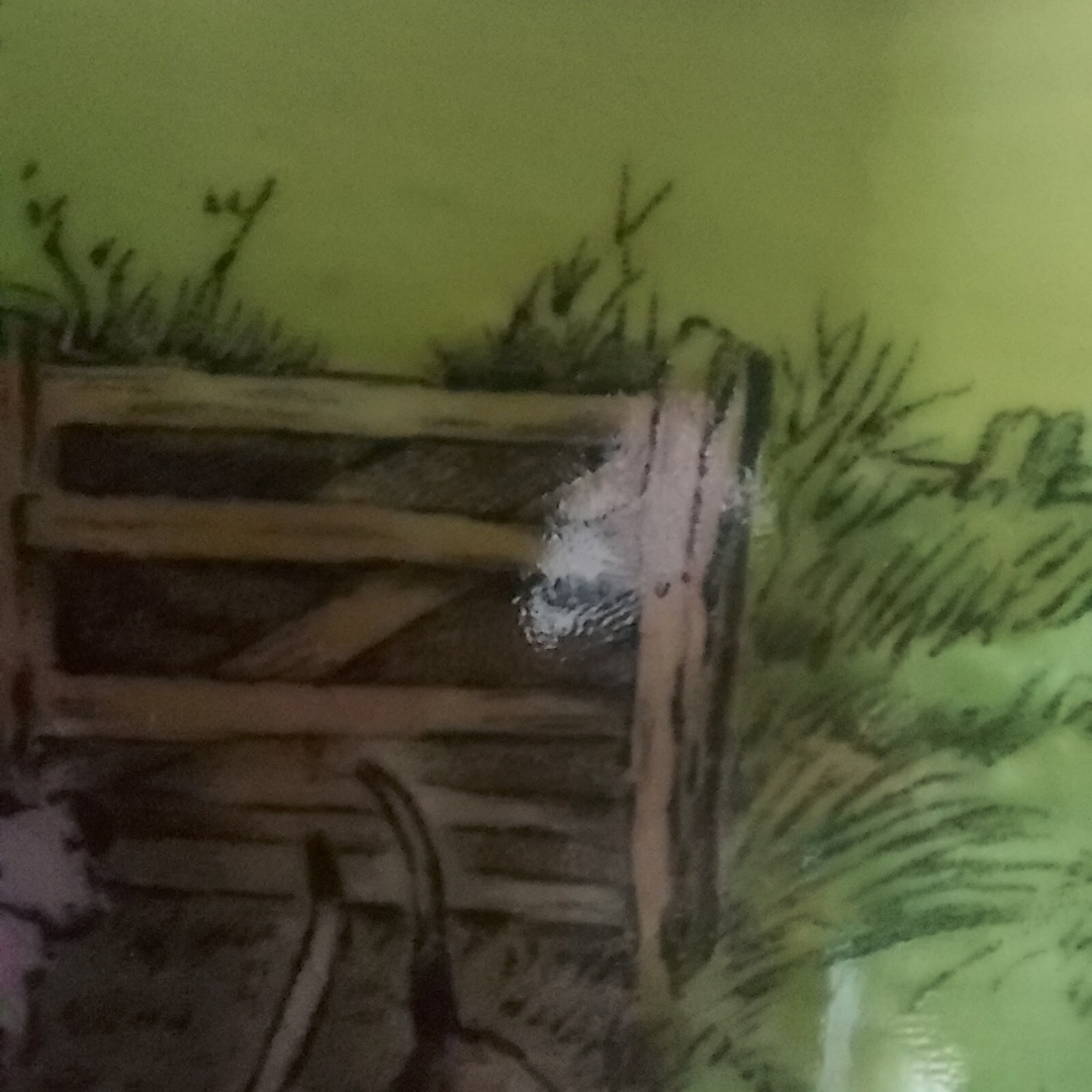 Picture 12 of 20