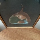 Picture 5 of 13
