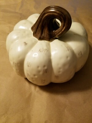 Astor Lane Decorative Ceramic Pumpkin White with Brown Stem Vintage EUC