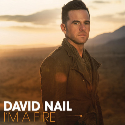 David Nail I'm a Fire (CD) Album