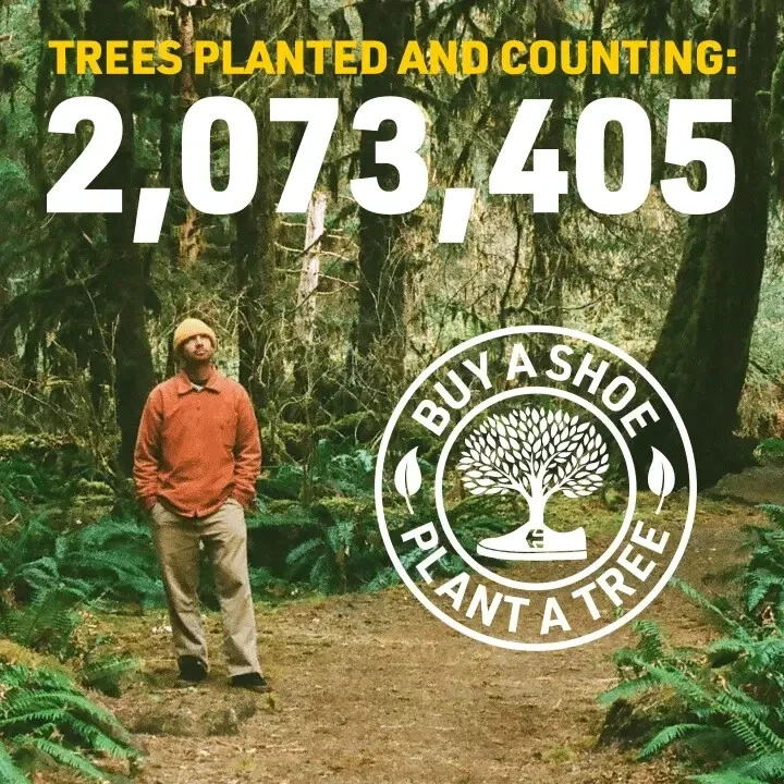 Etnies Skateboard Para Mujeres Langston Ws White 7/37,5 - Imagen 2 de 3