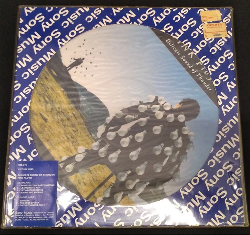 Pink Floyd ‎LP Vinyl Picture Disc Delicate Sound Of Thunder Brazilian Original