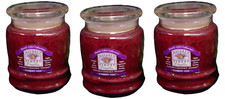 Scented Jar Candles Red Raspberry Basil 3-Count 16 oz Jars Natures Finest Spa