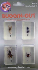My First Lab, Buggin-Out Micro Fun Bug Set C&A 00111