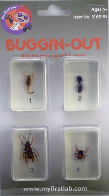 My First Lab, Buggin-Out Micro Fun Bug Set C&A 00111
