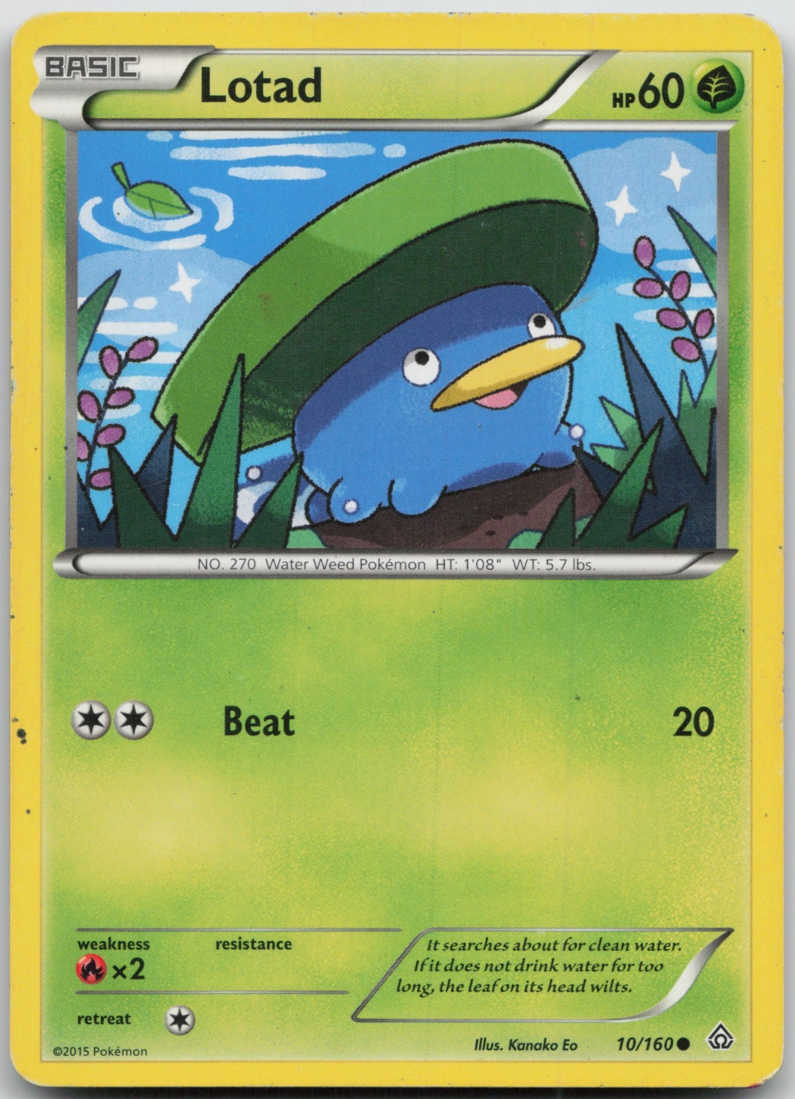 Lotad 10/160 Common Primal Clash Pokemon LP/MP