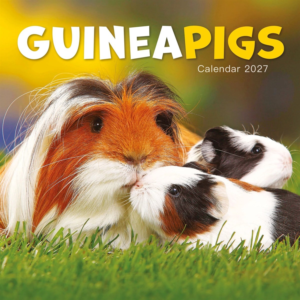 Carousel Worldwide Guinea Pigs 2027 Mini Wall Calendar 12-Month | PB | 2026 - Image 4