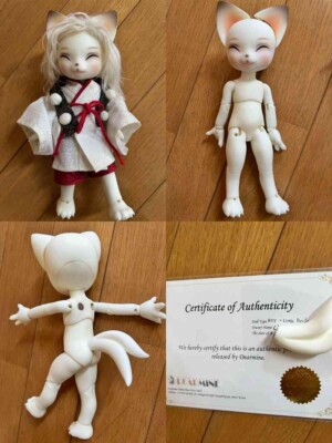 DEARMINE ROY PET Doll ＆ Wig Clothes FOX Animal BJD