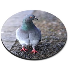 Round Mouse Mat City Pigeon Bird Walking Birds #50537