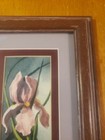 Picture 7 of 9