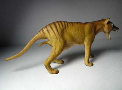 Collecta Tasmanischer Tiger (Thylacine) – Naturgetreue Spielzeugfigur, Handbemalt & Pädagogisch Wertvoll