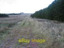 Photo 6x4 Track near Kitchen Rig Springhill  c2006