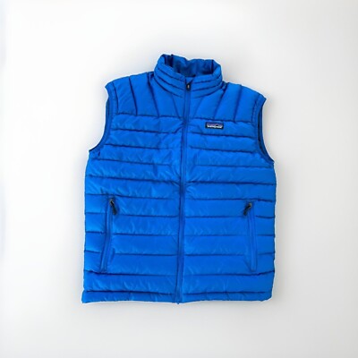 Patagonia Down Insulated Full Zip Sweater Vest Mens Small Blue | eBay