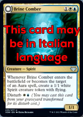 MTG 4x BRINE COMBER EXC - MEERSIEBMASCHINE - VOW - MAGIC