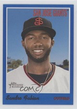 2019 Topps Heritage Minor League Edition Blue 63/99 Sandro Fabian #81 ex0