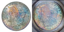 1884-O PCGS MS64 CAC MORGAN $ NICE COLORFUL TONED RAINBOW (VIDEO)
