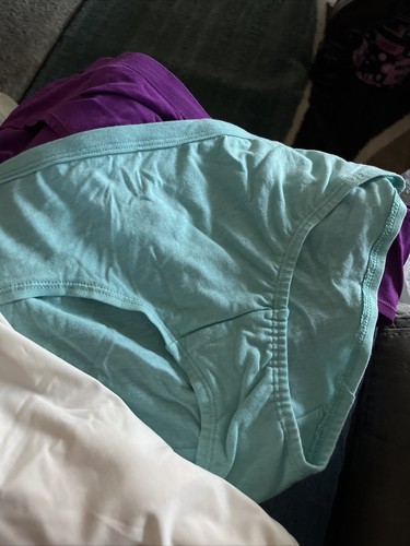 4 Bragas Mujer Hanes Y Fruta Del Telar Nuevas Fuera De Paquete Talla 5/S - Imagen 3 de 4