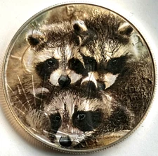 Cute Raccoons American Silver Eagle 1oz .999  Limited Edition Silver Dollar Coin