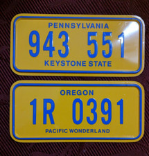 lotto due targhe vintage Pennsylvania e Oregon 19x9 repro