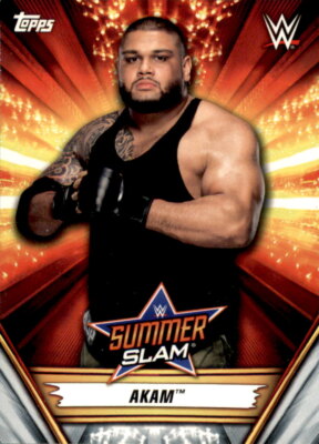 B1077- 2019 Topps WWE SummerSlam #s 1-100 +Inserts -You Pick- 15+ FREE US SHIP