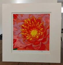 "BLAZE"  By Doug Zki - limited edition signed art print numbered matted