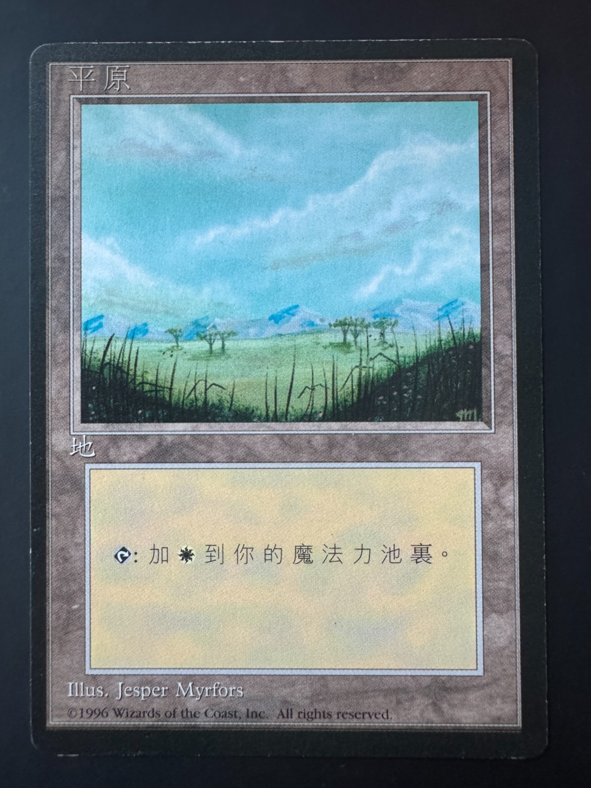 Magic MTG Plains (Version A, Trees) 4th Edition Chinese LP+/NM-!