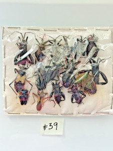 Beetle A1 condition