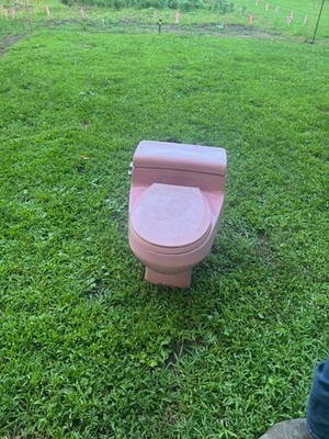Vintage Eljer Low Boy Dusty Rose (Pink) Toilet Excellent Condition