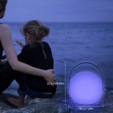 LED Table Lamp Sphere Dimmable w/ Handle Remote Control USB Battery Powered