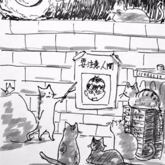 me0v Payment Page (Shipping Included)