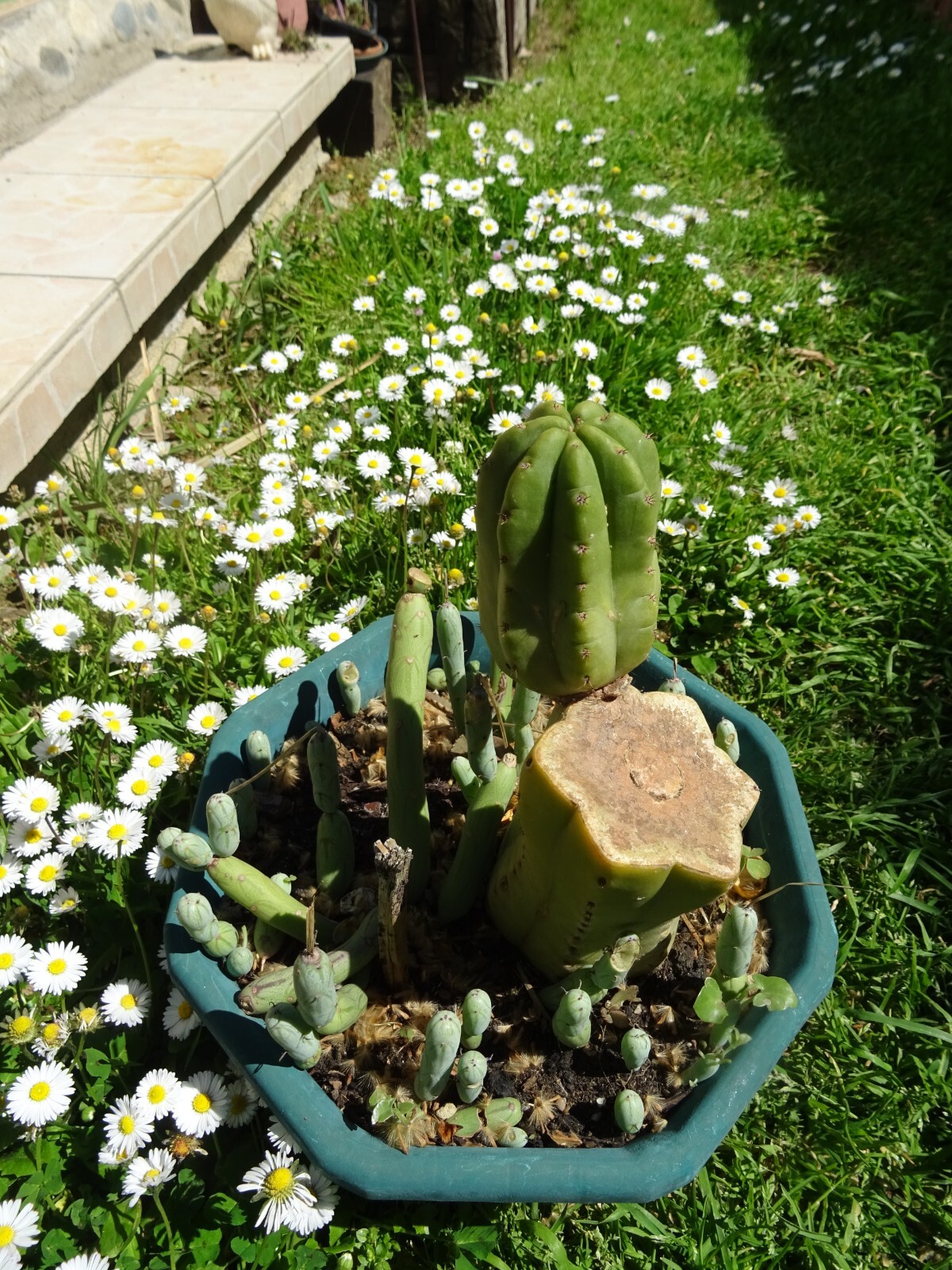 Picture 7 of 24