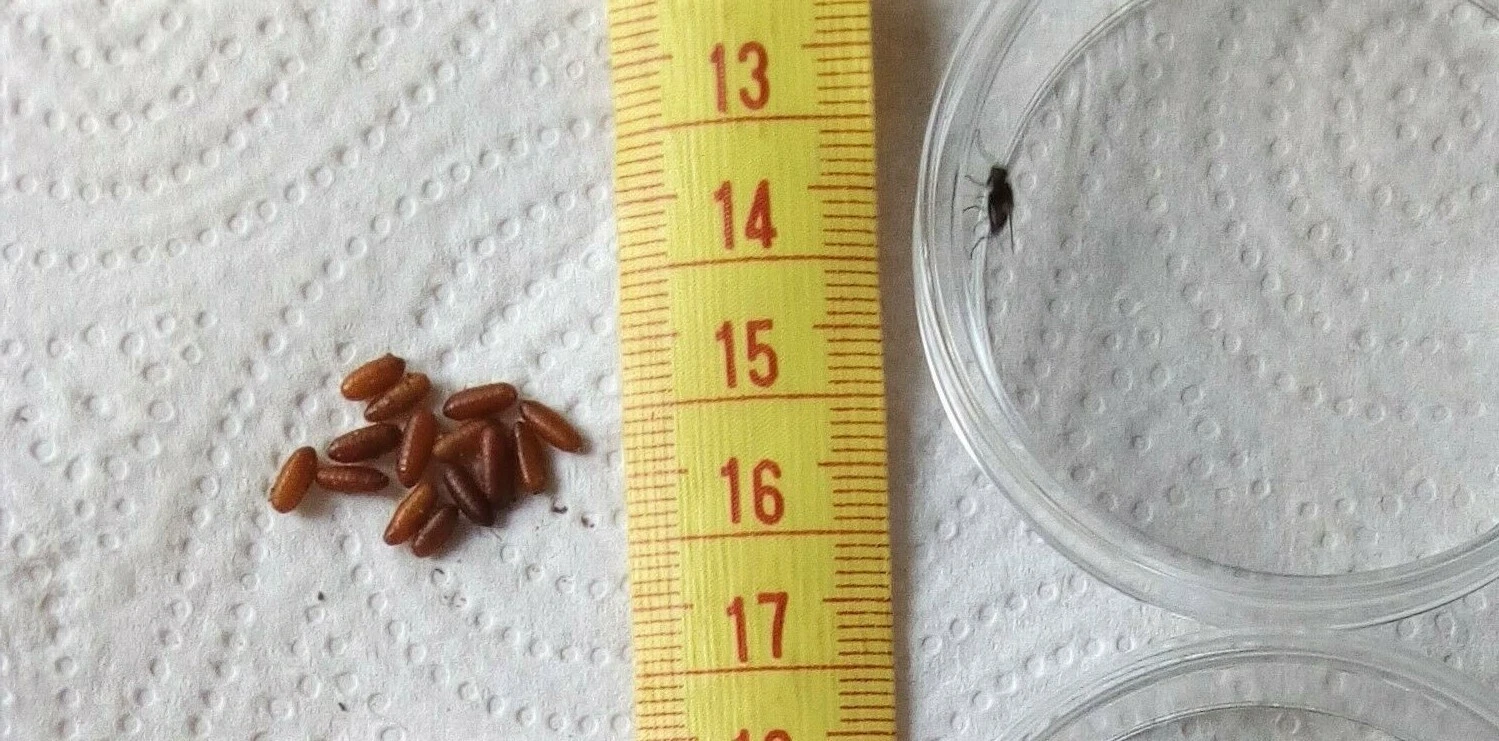 Picture 4 of 4