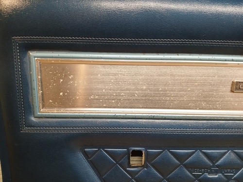 1974 1975 1976 1977 1978 Ford Mustang II King Cobra LH Door Panel Driver Side - Foto 2 di 22