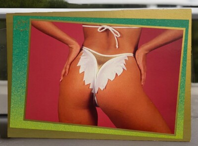 Los Angeles California Postcard NEW Beach Girls Bikini  Butt 80 s Panties