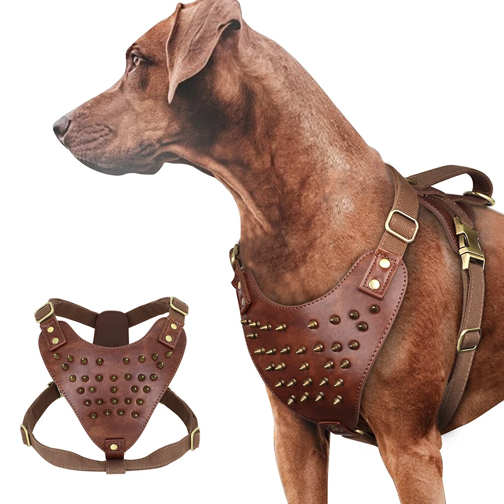 Spiked harness for dogs sales