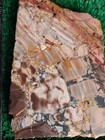 Rough Slab Dead Camel Jasper 140g. 5/16" Thick Lapidary Cabbing #BB-1 — photo 1