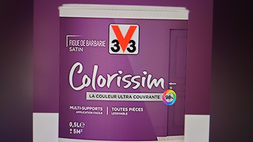 Peinture haute opacité Colorissim Figue de Barbarie satin de 0.50L