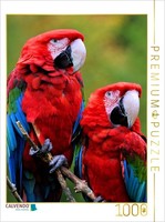 Calvendo Puzzle Green-Winged Macaw Couple | 1000 Pieces, Finished Size 25.2 × 18