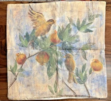 Pottery Barn Birds Pomegranate Euro Pillow Cover Botanical Fruit 24 x 24 Lovely!