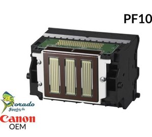 canon pro 2000 print head